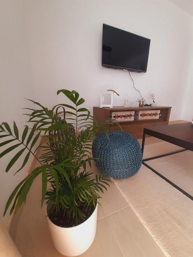 Apartment Macic Dub I Kotor Ngoại thất bức ảnh